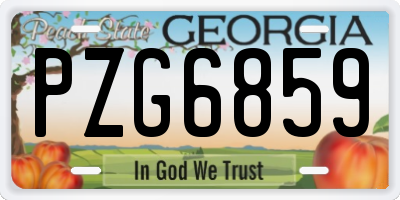 GA license plate PZG6859