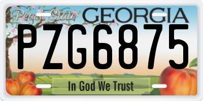 GA license plate PZG6875