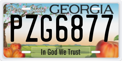 GA license plate PZG6877