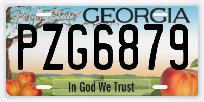 GA license plate PZG6879