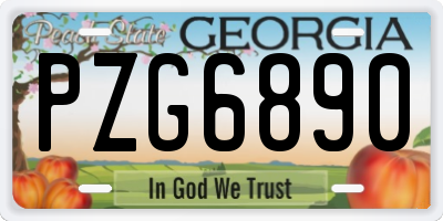 GA license plate PZG6890