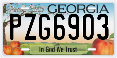 GA license plate PZG6903