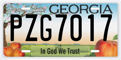 GA license plate PZG7017