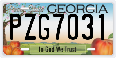 GA license plate PZG7031