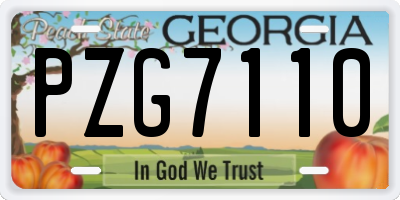 GA license plate PZG7110
