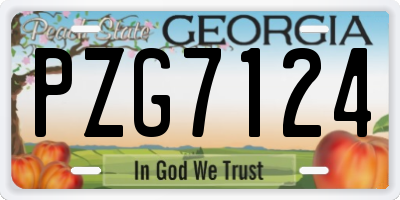 GA license plate PZG7124