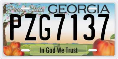 GA license plate PZG7137