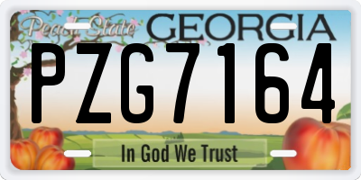 GA license plate PZG7164