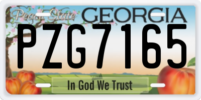 GA license plate PZG7165