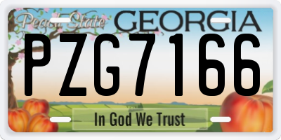 GA license plate PZG7166