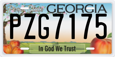 GA license plate PZG7175