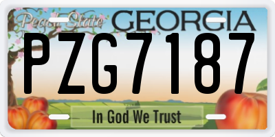GA license plate PZG7187