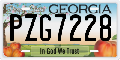 GA license plate PZG7228