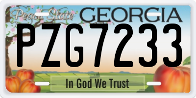 GA license plate PZG7233