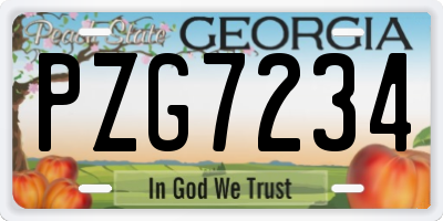GA license plate PZG7234