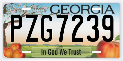 GA license plate PZG7239