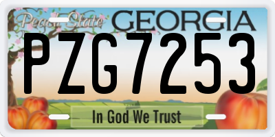 GA license plate PZG7253