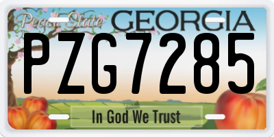 GA license plate PZG7285
