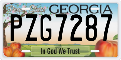 GA license plate PZG7287