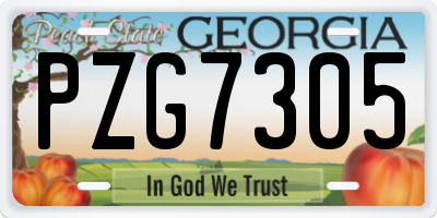GA license plate PZG7305