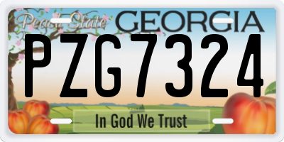 GA license plate PZG7324