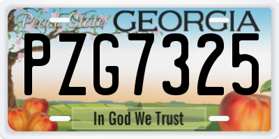 GA license plate PZG7325
