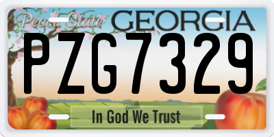 GA license plate PZG7329