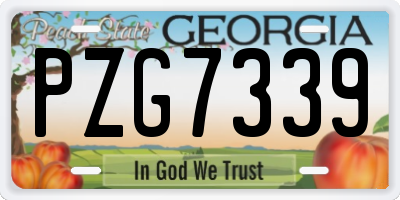 GA license plate PZG7339