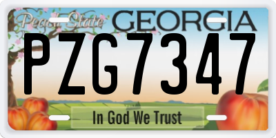 GA license plate PZG7347