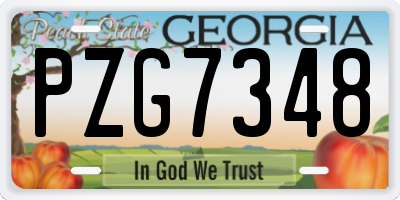 GA license plate PZG7348