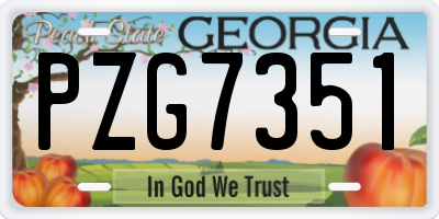GA license plate PZG7351