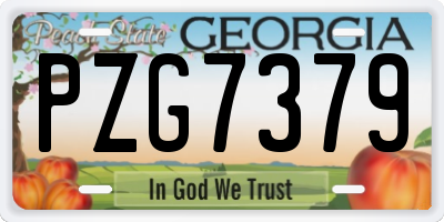 GA license plate PZG7379