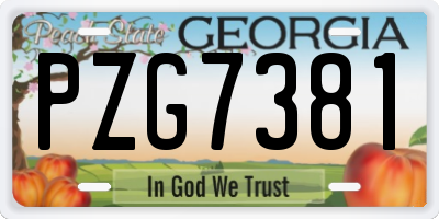 GA license plate PZG7381