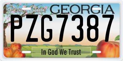 GA license plate PZG7387