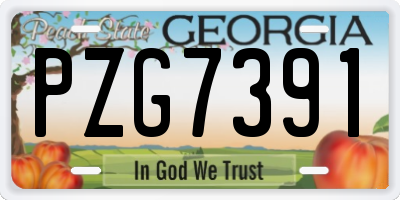 GA license plate PZG7391