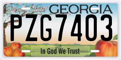 GA license plate PZG7403