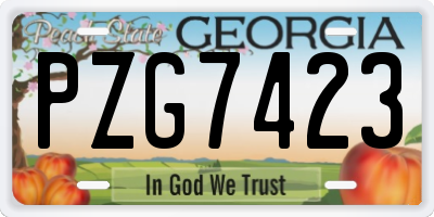 GA license plate PZG7423