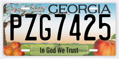 GA license plate PZG7425
