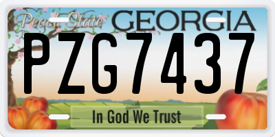 GA license plate PZG7437