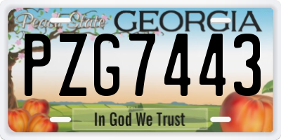 GA license plate PZG7443