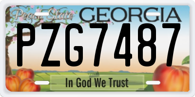 GA license plate PZG7487