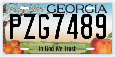 GA license plate PZG7489