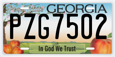 GA license plate PZG7502