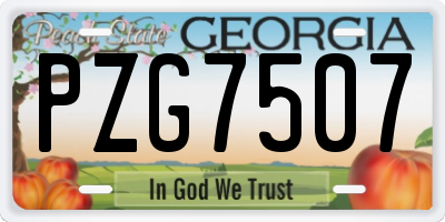 GA license plate PZG7507