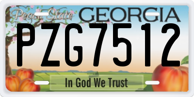 GA license plate PZG7512
