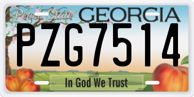 GA license plate PZG7514