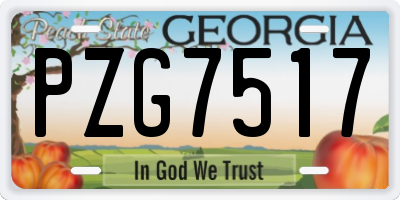 GA license plate PZG7517
