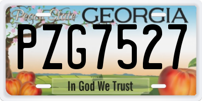 GA license plate PZG7527