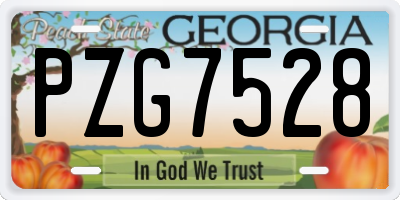 GA license plate PZG7528