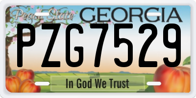 GA license plate PZG7529